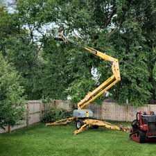 Best Tree Cabling and Bracing  in Port Reading, NJ